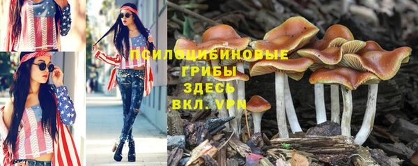гидропоника Алексин